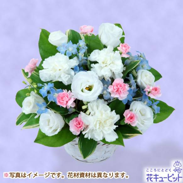 商品一覧の花 愛媛県新居浜市の花屋 フラワーおおにしにフラワーギフトはお任せください 当店は 安心と信頼の花キューピット加盟店です 花キューピットタウン