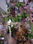 「フラワーおおにし」　（愛媛県新居浜市）の花屋店舗写真2